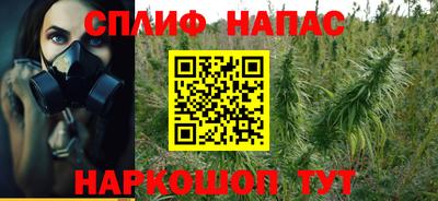 прущие грибы Жуковский