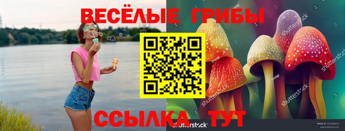 Владикавказ  магазин  наркотиков  Вход с VPN  Галлюциногенные грибы Psilocybine cubensis 